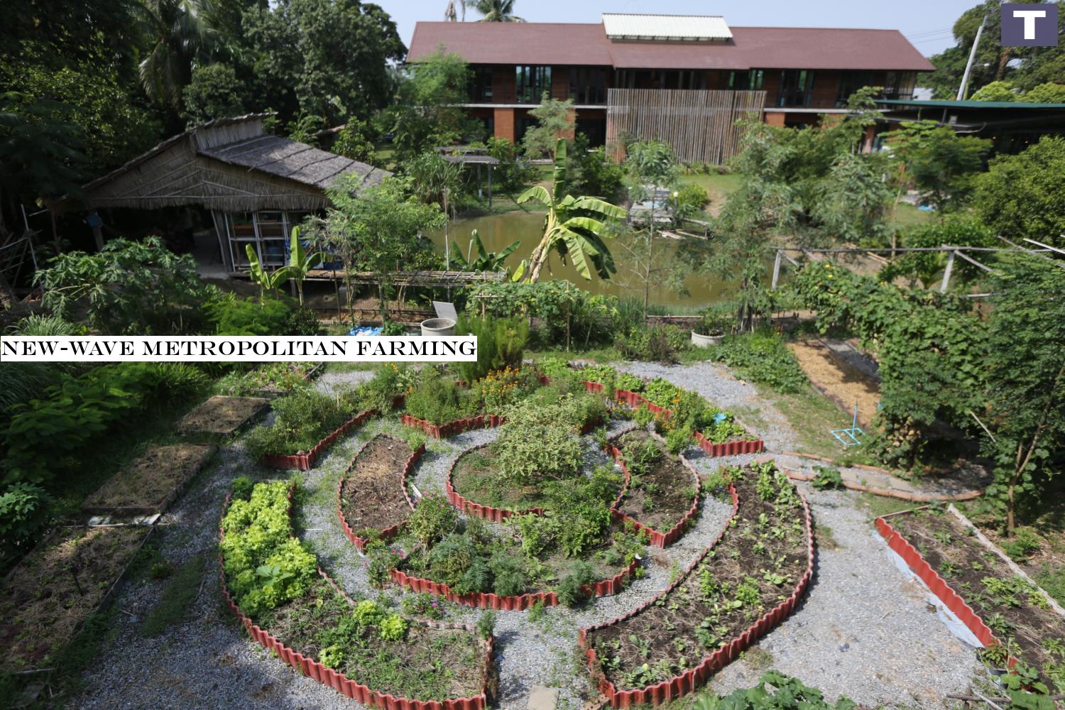Bountiful: Vegetable plots occupy a secluded garden in Nonthaburi. They provide a steady supply of produce which promotes food security for people in the city. New-wave urban farming
