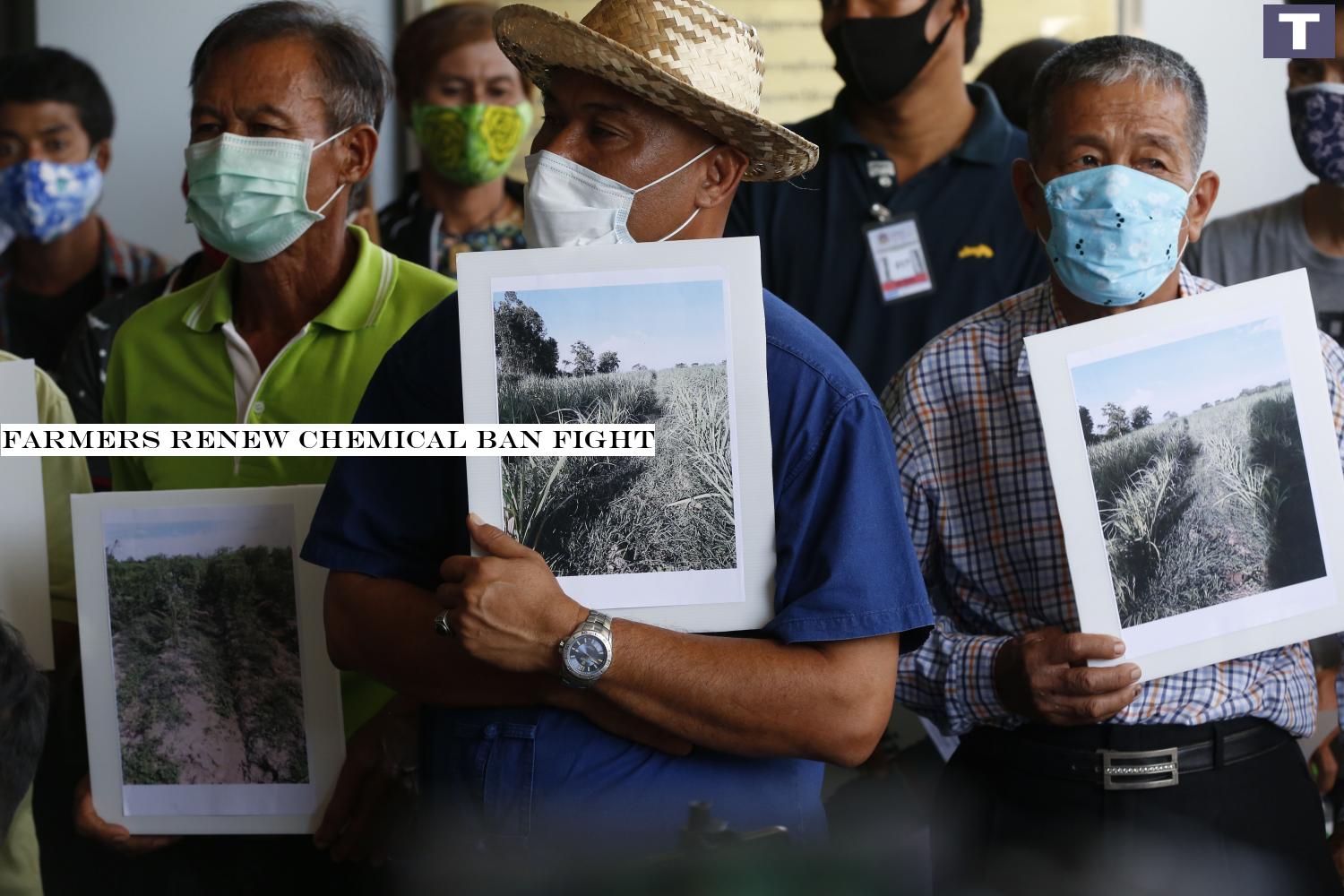 Farmers show pictures of their farms before asking the Central Administrative Court for an injunction that will allow them to continue using agro-chemicals currently banned by the authorities.â-#128;-#137;(Photo by Pornprom Satrabhaya) Farmers renew chemical ban fight