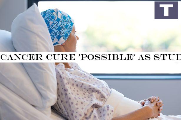 Cancer cure 'possible' as study shows arthritis drug can kill certain tumours