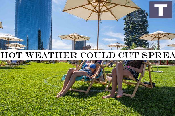 Hot weather could cut spread of Covid-19 as sunlight 'kills bug in 34 minutes'