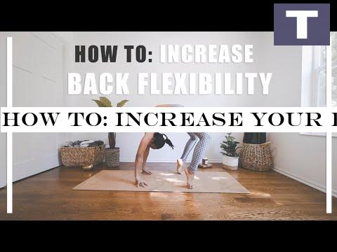 HOW TO: Increase your BACK FLEXIBILTY for Beginners!