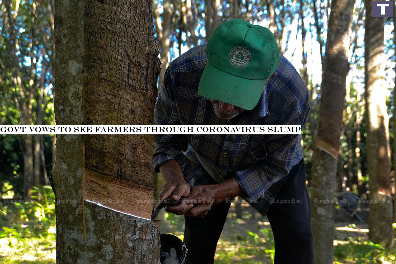 Govt vows to see farmers through coronavirus slump
