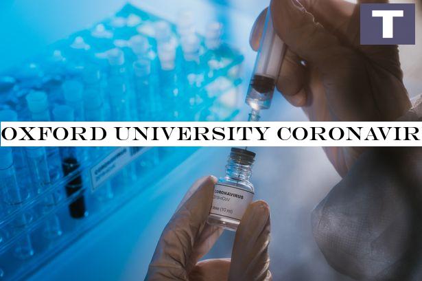 Oxford University coronavirus vaccine 'could go before regulators this year'