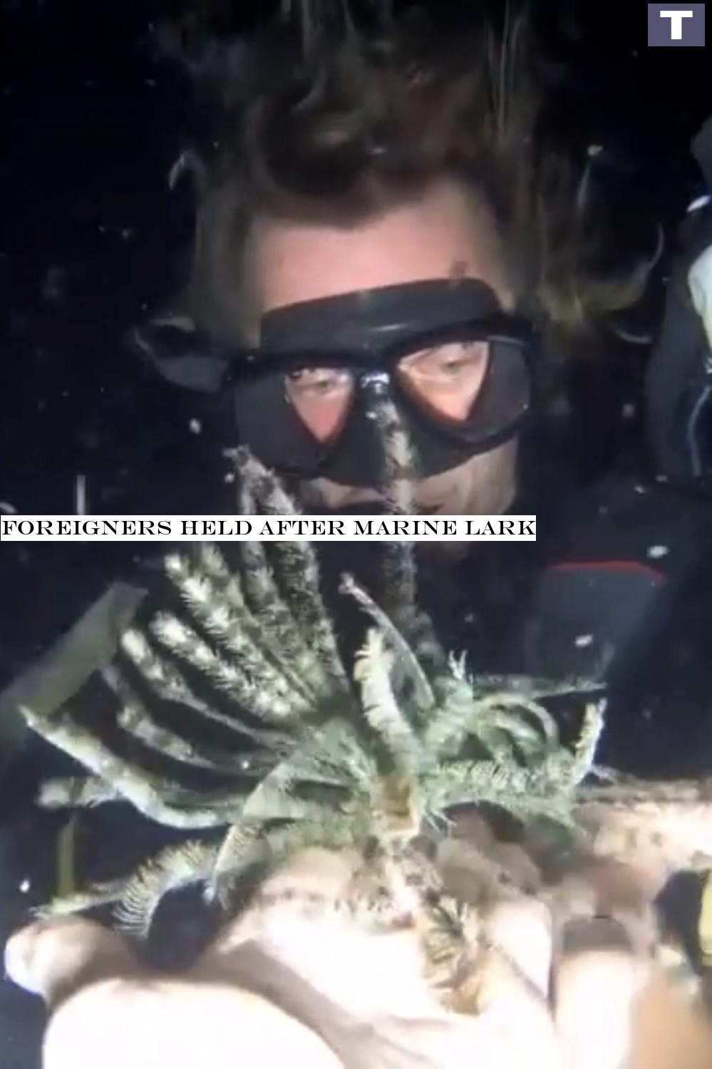 Foreigners held after marine lark