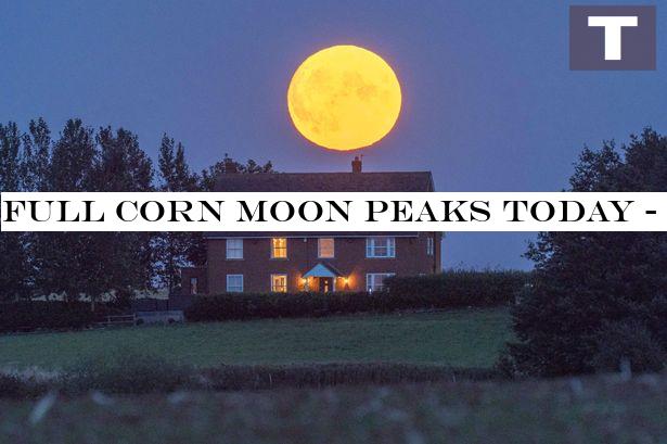 Full Corn Moon peaks today - best time to see rare lunar display from the UK