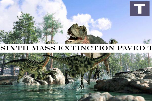 Sixth mass extinction paved the way for the dinosaurs 233 million years ago