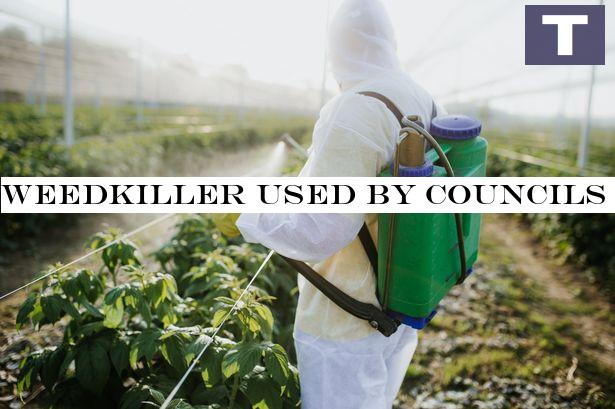 Weedkiller used by councils across the UK kills coronavirus in less than 10s