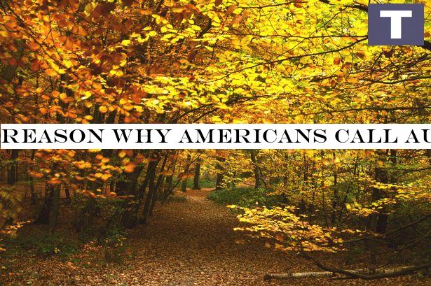 Reason why Americans call Autumn 'Fall' as autumnal equinox finally arrives