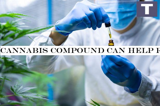 Cannabis compound can help reduce lung damage from Covid-19, study claims