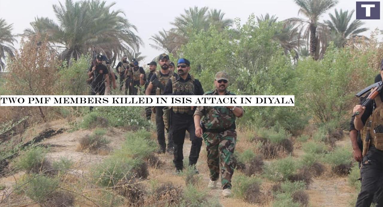 Two PMF members killed in ISIS attack in Diyala