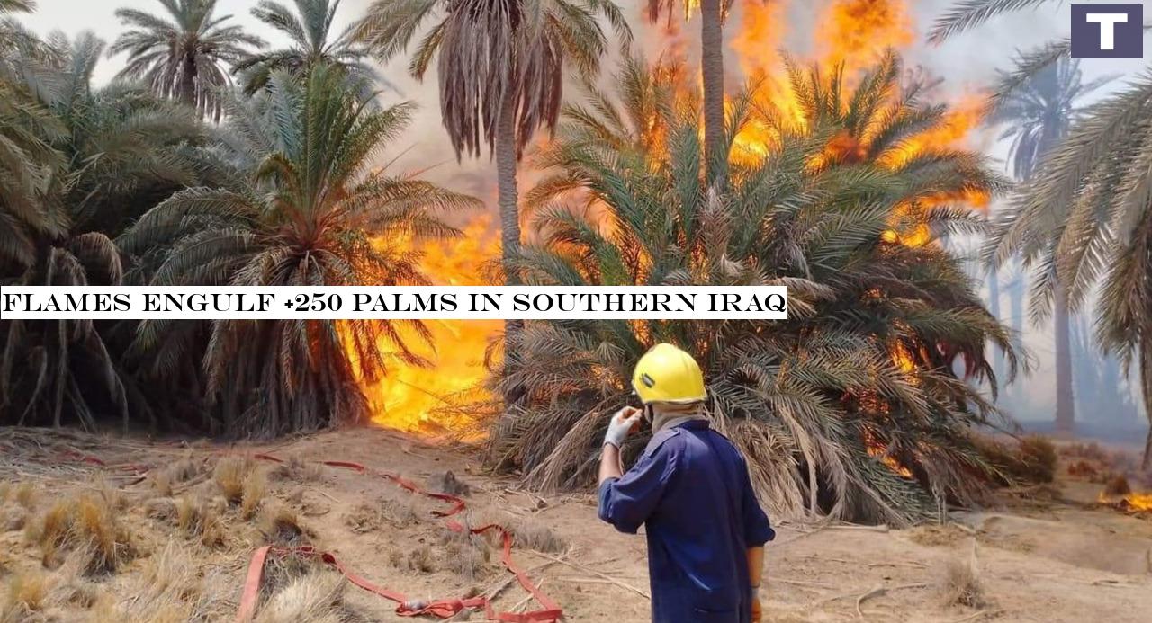 Flames engulf +250 palms in southern Iraq